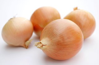Onion (Allii cepae bulbus)