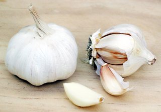Garlic (Allii sativi bulbus)