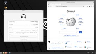 Cinnamon (Cinnamomi cortex)