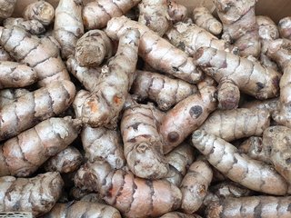 Turmeric (Curcumae longae rhizoma)