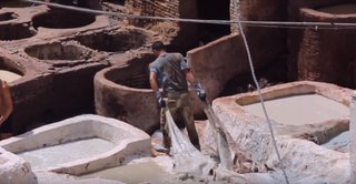 Oak Bark (Quercus cortex)