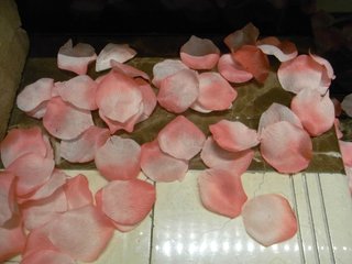 Rose flower (Rosae flos)